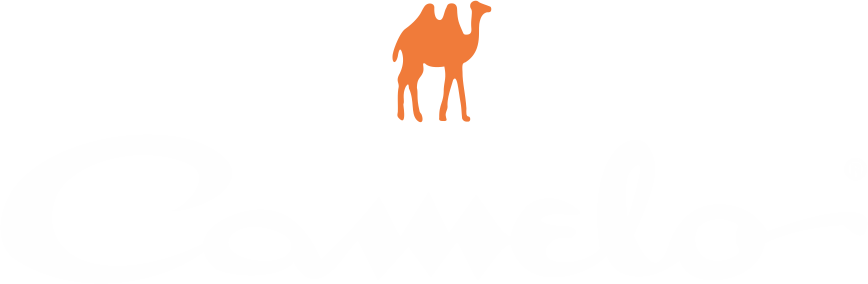 Lojas Camelo